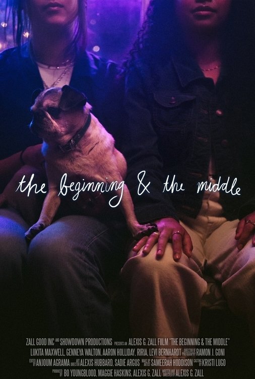 Постер The Beginning & the Middle